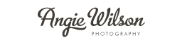Angie Wilson Photography logo