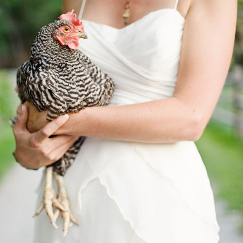 Bride Holding Chicken Lyons Colorado