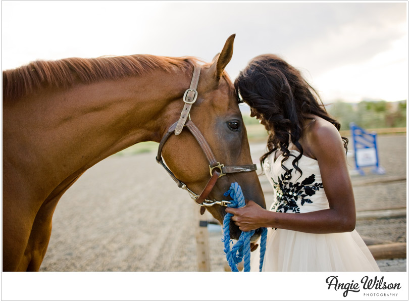 colorado senior portrait photographer with a horse