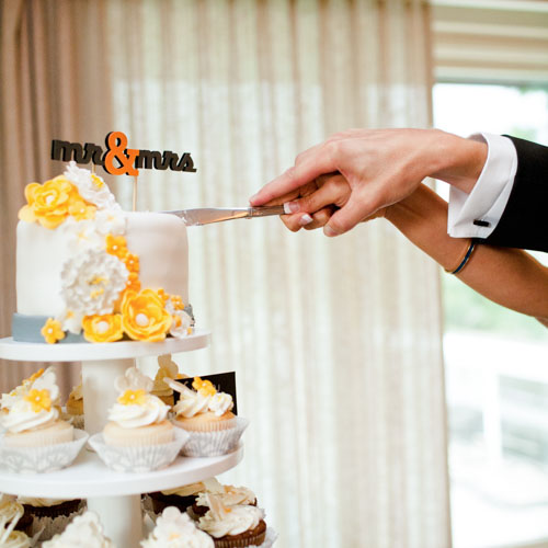 Cake Cutting Wedding Photo