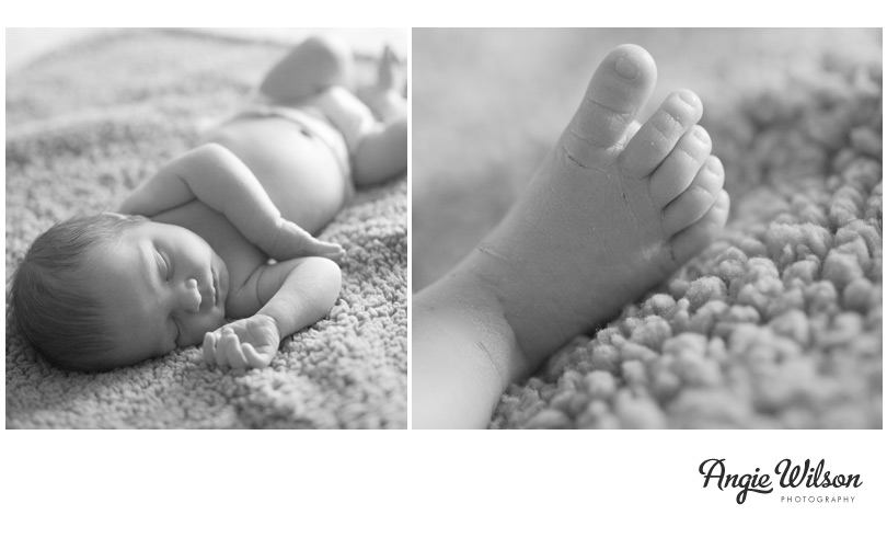 denver_baby_photography_newborn1