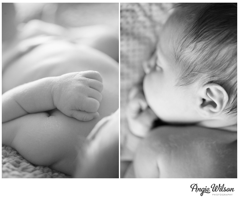 denver_baby_photography_newborn3