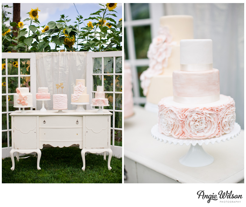lyons_farmette_wedding_cakes-1