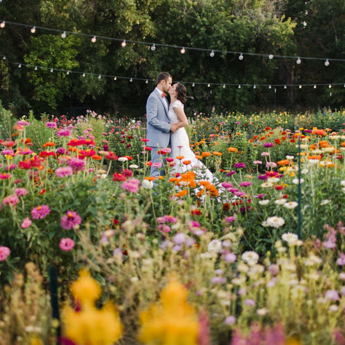 Bride and Groom in a field of flowers at the Lyons Farmette Wedding Venue