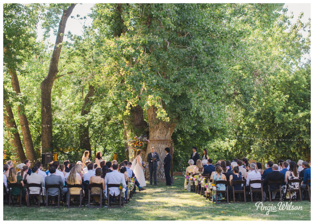 Wedding on the lawn at the Lyons Farmette